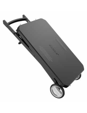 COZZE OUTDOOR FOLDING TABLE- PORTABLE