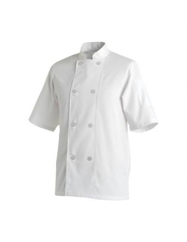 CHEFS UNIFORM JACKET BASIC SHORT - LARGE 