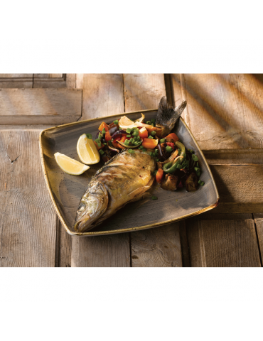 STONECAST - PEPPERCORN GREY - DEEP SQUARE PLATE - 26.8CM (6) (PACK OF 6)