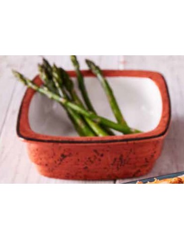 ELE RUSTIC TERRA LASAGNE DISH 0,40L (PACK OF 12)