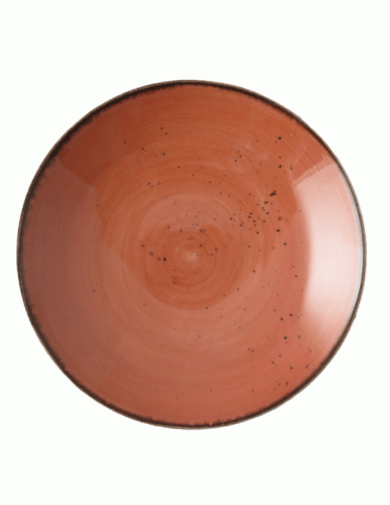 ELE RUSTIC TERRA COUPE PLATE 27CM (PACK OF 24)