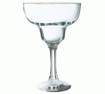 AQUA - MARGARITA - 29.5CL (24) (SET OF ...