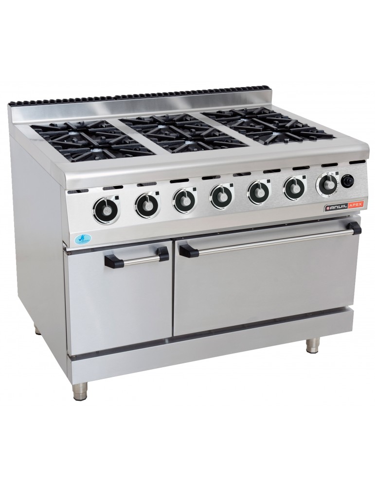GAS STOVE WITH GAS OVEN ANVIL - 6 BURNER (PACK OF 1)