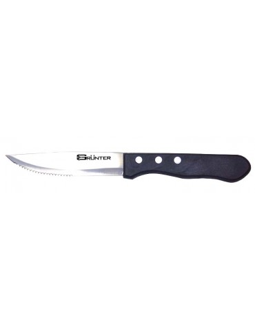 STEAK KNIFE BROAD BLADE - PLASTIC HANDLE (1) (PACK OF 1)