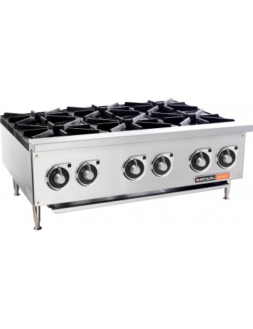 STOVE GAS ANVIL - HEAVY DUTY - 6 BURNER 