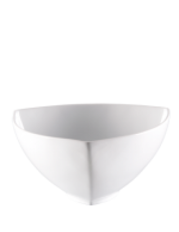 EVOLUTION TRIANGLE BOWL  22CM (PACK OF 6) 