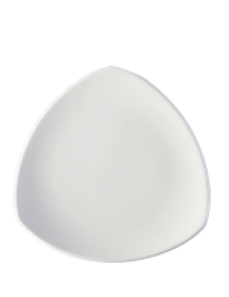EVOLUTION TRIANGLE PLATE  19 CM (PACK OF 24)