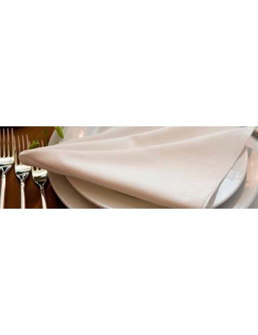 CHEFEQUIP NAPKIN 450MM X 450MM PACK OF 24 (WHITE) 
